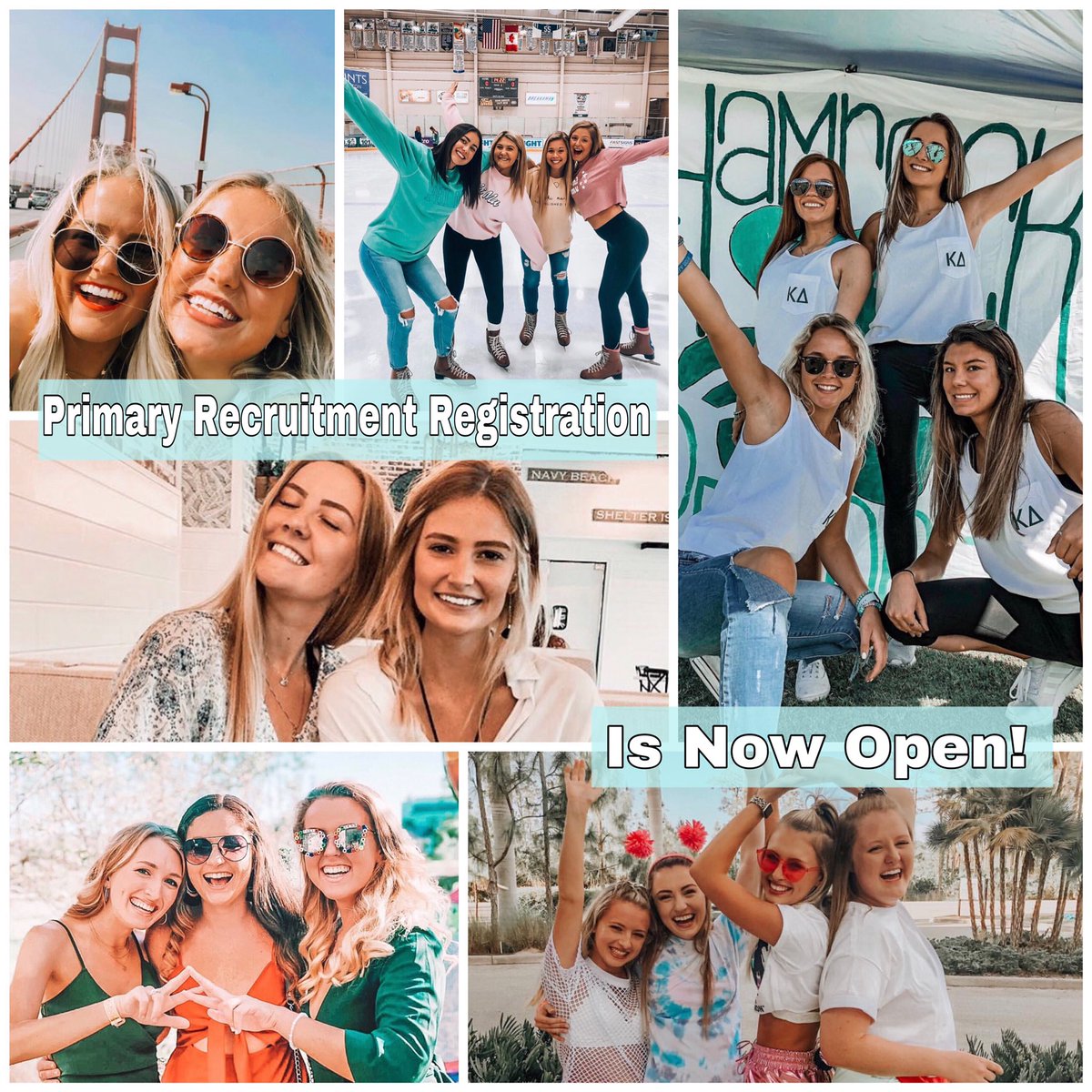 FGCU Panhellenic tweet media