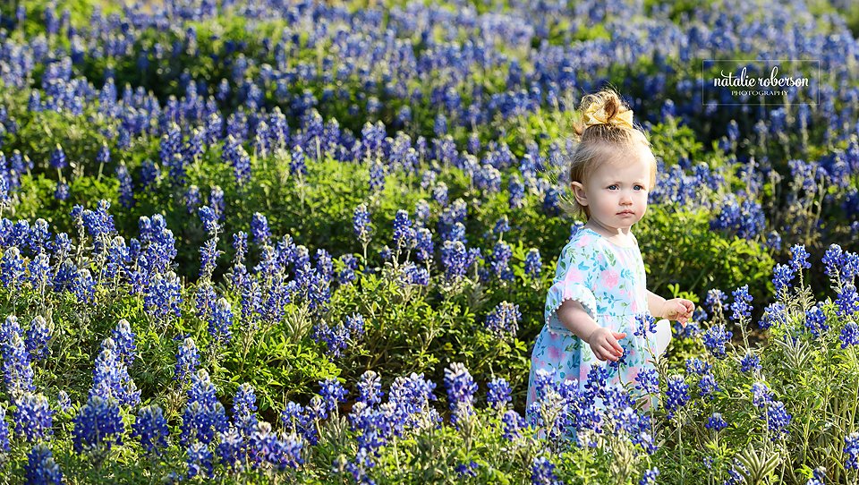 Another fav from Emerson's bluebonnet session! #friscochildrenphotographer #celinachildrenphotographer #prosperchildrenphotographer #bluebonnets #bestchildrenphotographer #photographer #texasbluebonnets