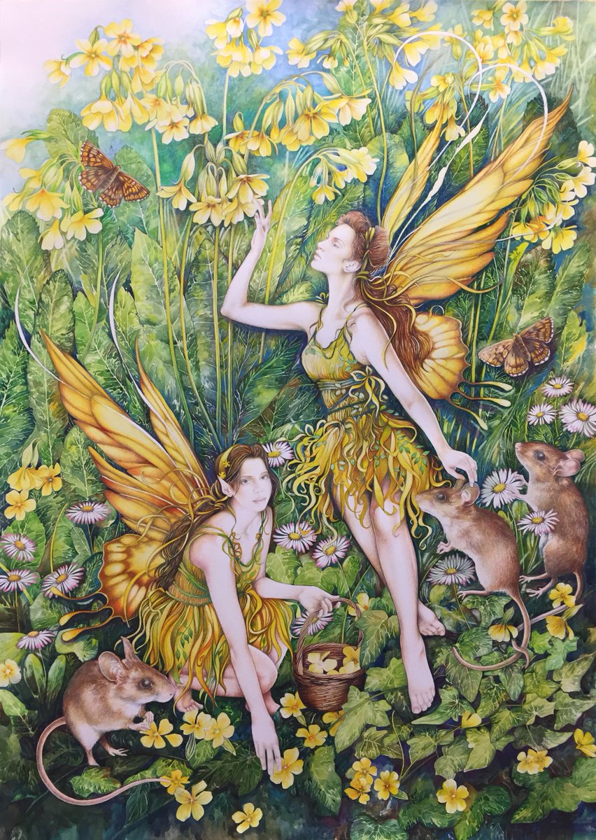 Bonnie Helen Hawkins 🇪🇺 tweet media