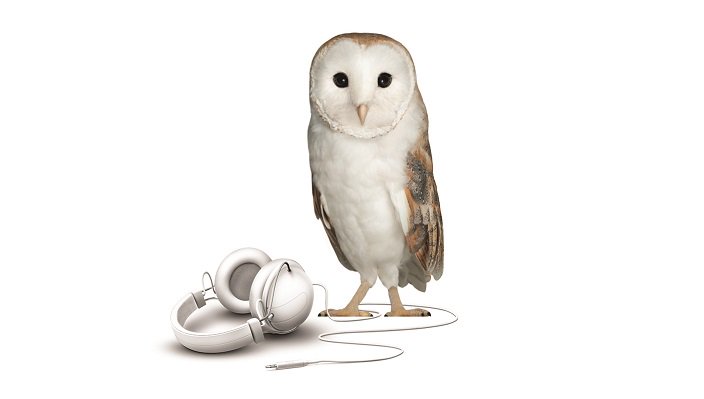 TELUS's tweet image. It&apos;s #PrivacyAwarenessWeek! Our new podcast, featuring @c_todd, @ambermac and @MediaSmarts, shares insights on parenting and helping youth protect their privacy online: telus.my/sc4zaH #TELUSWise 💜