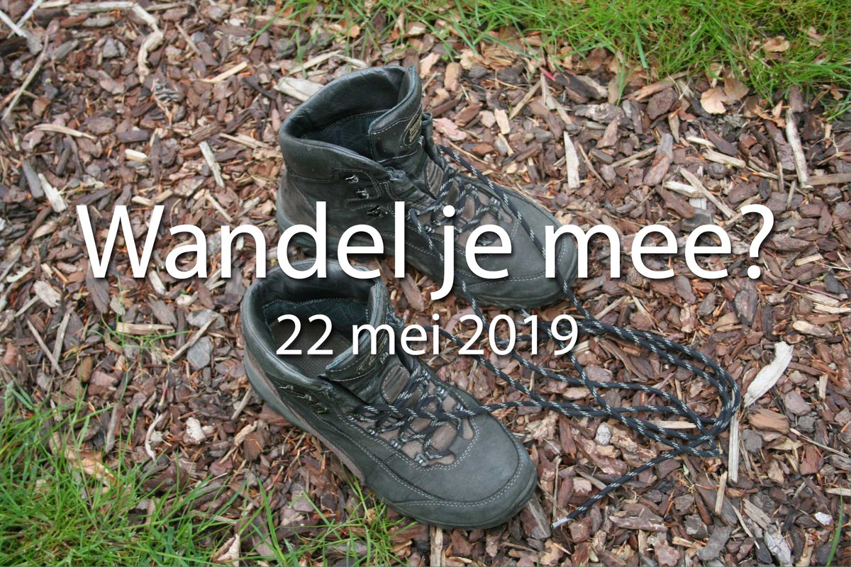 Jansen van den Berg tweet media