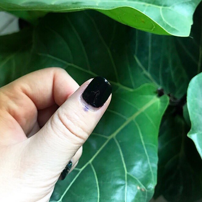 lookitscarina's tweet photo. Voting is a massive under appreciated privilege. Go make your mark! You still have one hour. ❎🗳🇿🇦 #SAElection2019 #SAElectionDay #electionday #votingisaprivilege #democracy https://t.co/2O5WaaWuNZ