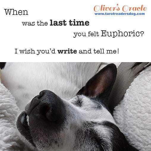 TarotReadersDog's tweet photo. Dreams of euphoria! Hope you've had it, for real, in your life. And often!
#dreams #euphoria #free #happy #goofy #laughs #tellme https://t.co/E8z7WoRXXl https://t.co/Tq3JHNhL1J
