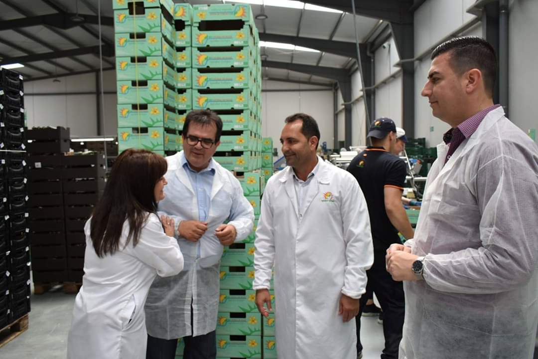 AJRodriguezS's tweet photo. BIO Litoral de Nijar, empresa familiar dedicada al cultivo de productos hortofrutícolas, en especial al cultivo del calabacín 🥒 y berenjena 🍆, en el Campo de Nijar. 

¡Enhorabuena por vuestro trabajo! 🙏

#ComoTúQuieres #Níjar #PopularesNíjar #AntonioJesúsRodríguez #BioLitoral https://t.co/IBLLG4w4vh