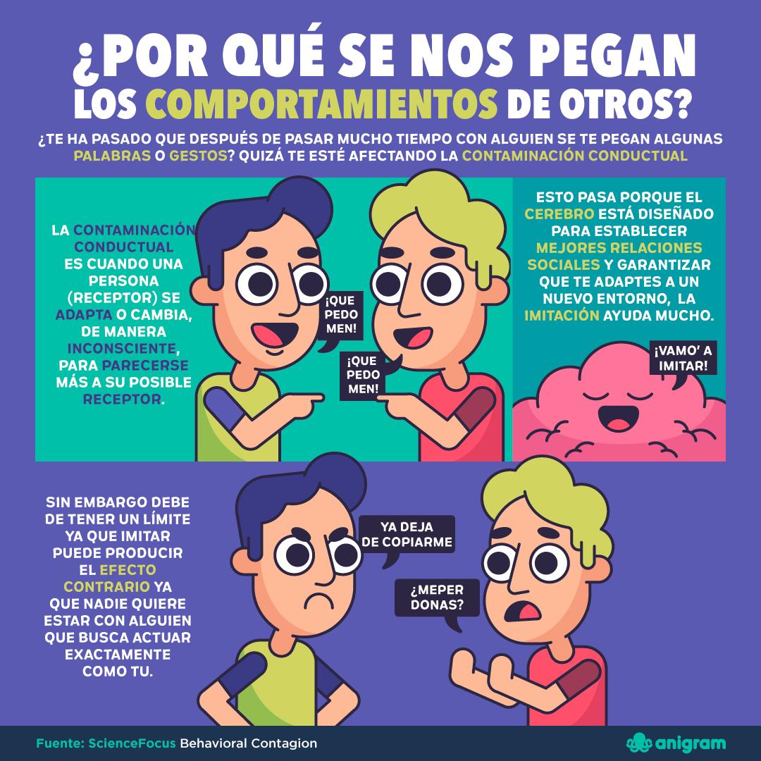 Anigram tweet media