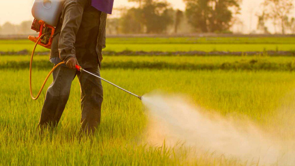 Bio-Rational Pesticides Market