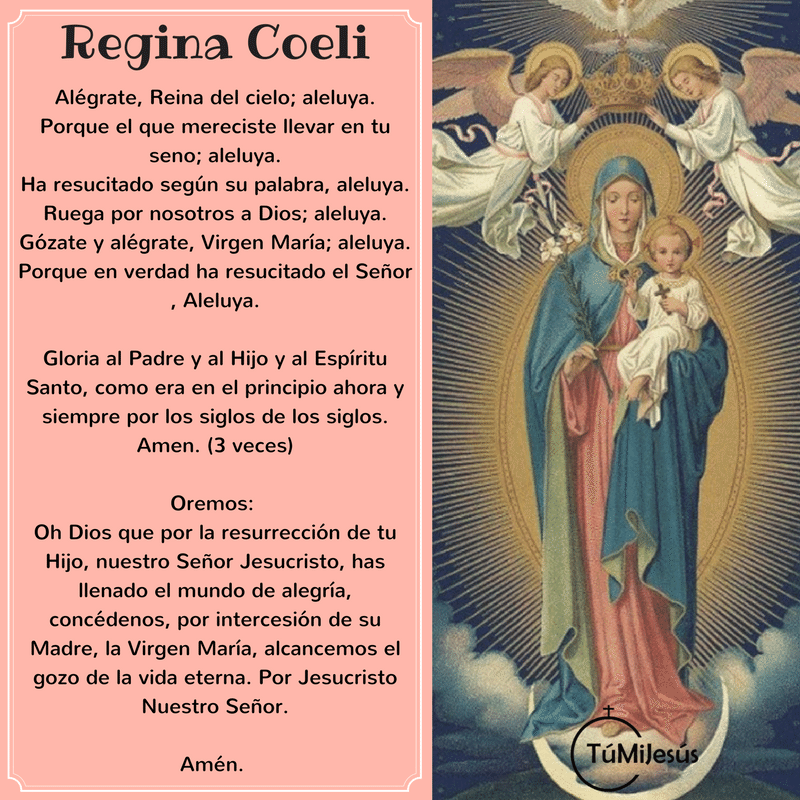Gracias Reina del cielo por los beneficios que recibimos este día de tus manos misericordiosas. #RecemosJuntos #ReginaCoeli