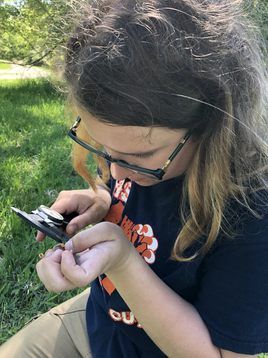 BugswithBekka's tweet photo. Baby bluebirds are styling with sparkly purple “tarsus” polish! @themaddiecology is using it to measuring growth rate.
#SpyingonSongBirds #VampireMaggots #OHIOinsects #fieldwork #bluebirds https://t.co/uo1dtKHdcg
