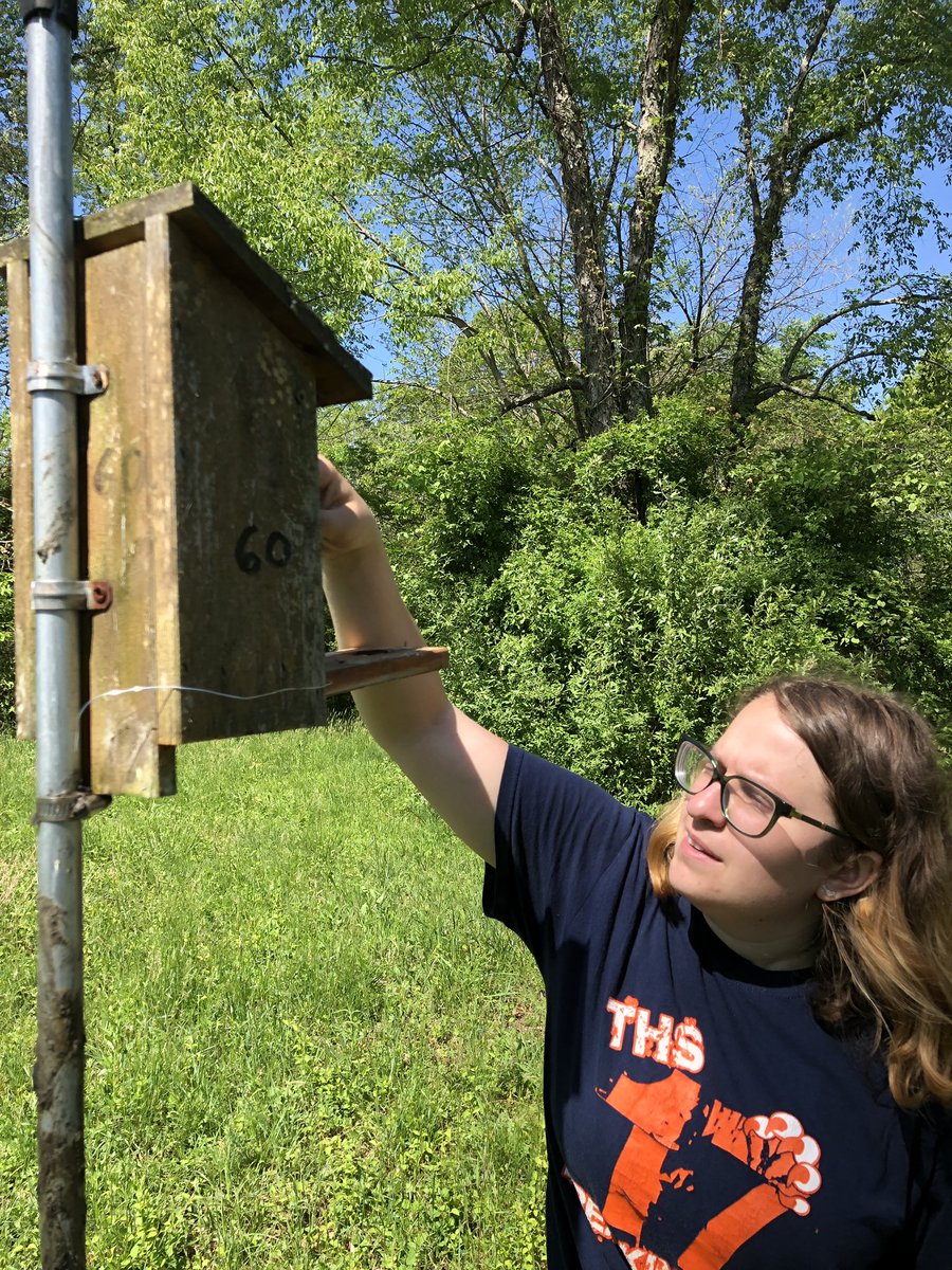 BugswithBekka's tweet photo. Baby bluebirds are styling with sparkly purple “tarsus” polish! @themaddiecology is using it to measuring growth rate.
#SpyingonSongBirds #VampireMaggots #OHIOinsects #fieldwork #bluebirds https://t.co/uo1dtKHdcg