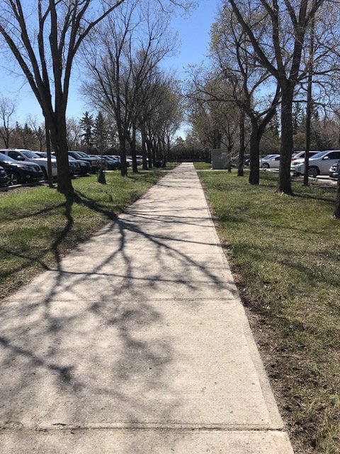 JSGSPP's tweet photo. This stretch of #CAC cleaned by #TeamJSGS at today's @UofRegina Campus Beautification Day! We love keeping our space clean for our furry and feathered neighbors!
@JSGSPP @vianne_timmons #sustainablecampus #Zone4 #nestingfowl https://t.co/I3U6TNeSaP