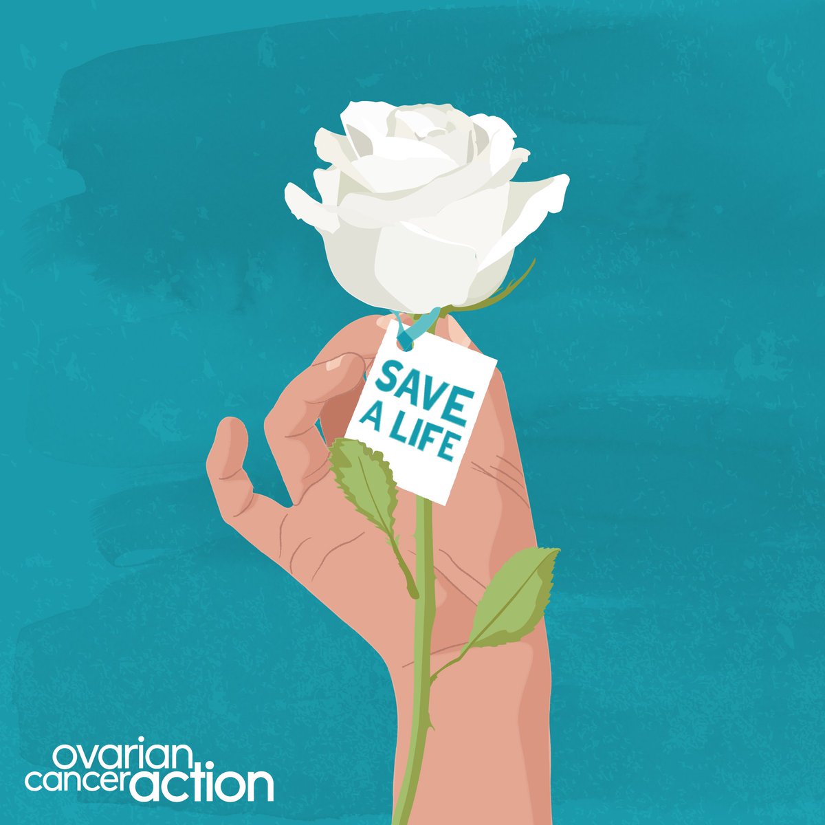 It was wonderful to see so many AM's raising awareness of ovarian cancer &amp; wearing white roses in the #Senedd today for #wocd. Thank you <a href="/hannahblythyn/">Hannah Blythyn</a> for helping to make it possible.