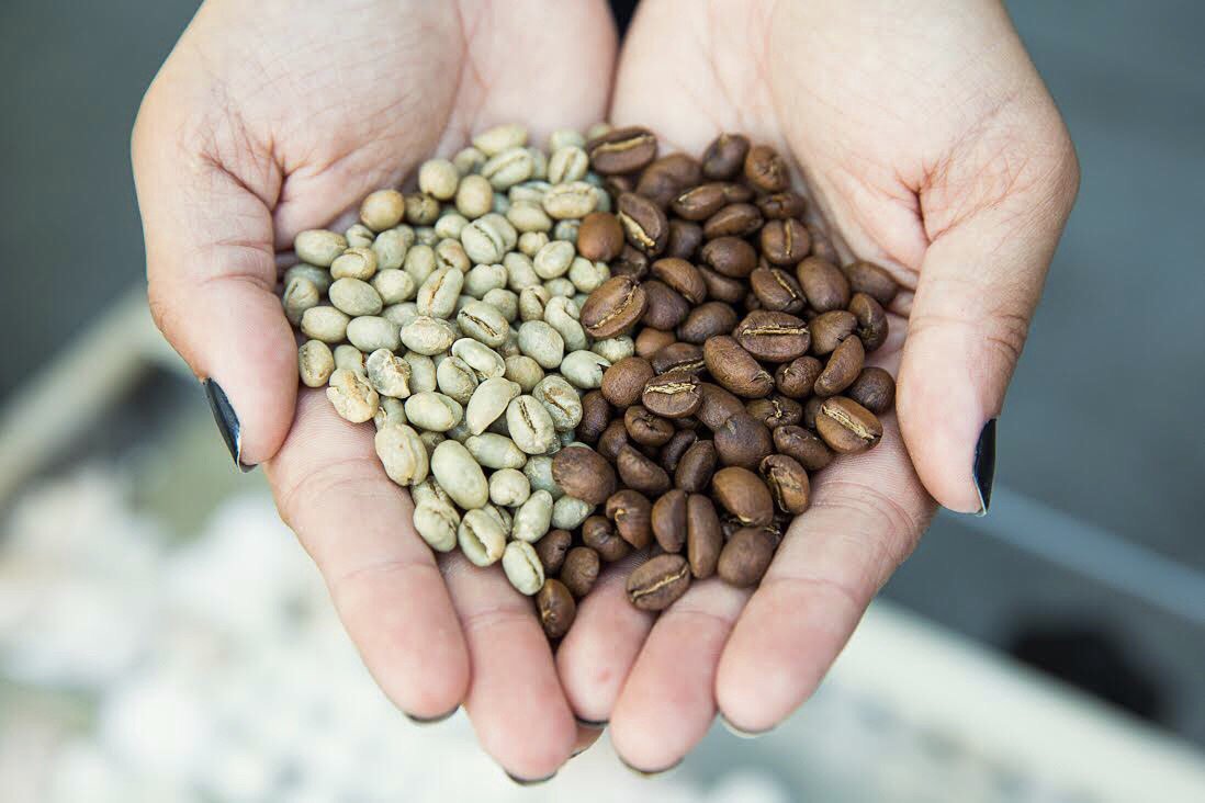 FaraCoffee's tweet photo. Fresh #faracoffee beans straight from our farms in Nicaragua, roasted right here in Austin! #yourlocalcoffeeroaster https://t.co/54zClIV5Ib