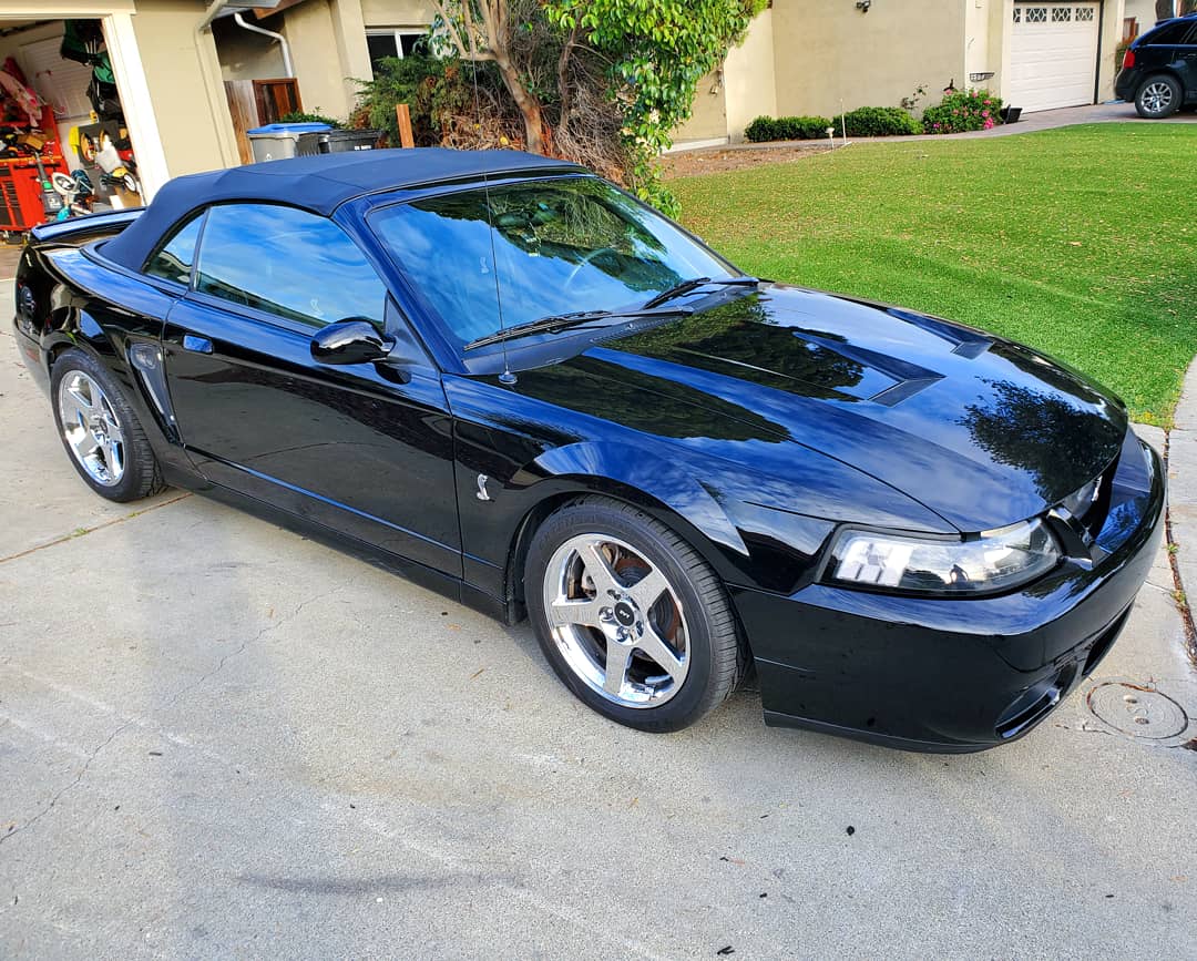 SVT_VASQUEZ's tweet photo. #ford #dbpsquad #fordmustang #mustang #cobra #svt #terminatorcobra #terminator #cobrasonly #supercharger #termigram #newedgemustangs #mustangfanclub #stangflow #worldwidestangs #boostedmustangs #mustang_freakzz #termisonly #newedgeworld #koni #mustangaddicts https://t.co/P7QVlz8lVk