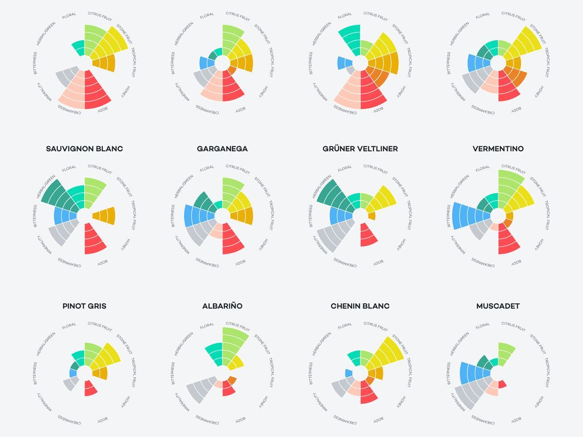 WineFolly's tweet photo. Looking for an easy reference for different white wines? We’ve got you covered. https://t.co/EWaPOuB4pA #WineWednesday https://t.co/UHPctUn73x