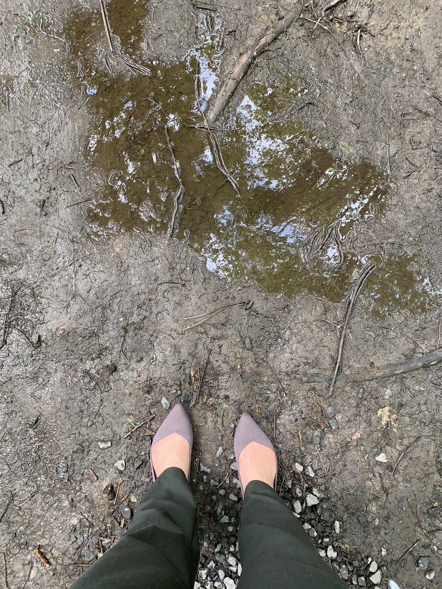 candaceschu's tweet photo. Americaโs first urban wildlife refuge! Iโm so urban right now with my @rothys exploring the wildlife trails ๐ #optoutside #leavenottrace https://t.co/KCZVAiNPFp