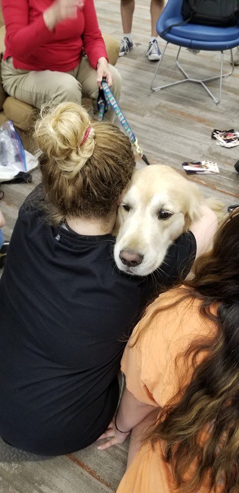 uconnlibrary's tweet photo. Are you a Golden fan? Today is your day! Two more coming up from 3-4 and 4-5pm. https://t.co/lb4ca5uysi #pawstorelax #finals #uconn #therapydogs #stressrelief #homerbabbidge https://t.co/vZ9rUoQh1Y