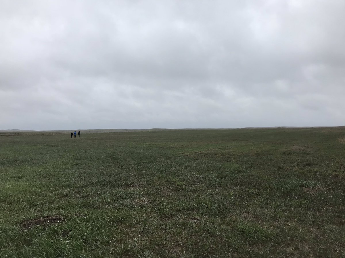 jilla_hamilton's tweet photo. Beautiful day at Ordway Prairie thinking about #restoration. Such a great team to generate ideas with. #springontheprairie #springwhat? https://t.co/dwlnNNJjDY