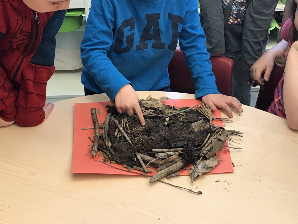 AVRCE Tech (@avrcet) on Twitter photo Amazing builders at Brooklyn School! Some great work by these P/1s <a href="/AVRCE_NS/">Annapolis Valley Regional Centre for Education</a> Amazing builders at Brooklyn School! Some great work by these P/1s <a href="/AVRCE_NS/">Annapolis Valley Regional Centre for Education</a>