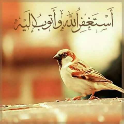 Suzan_HA's tweet photo. "استغفر الله من كل ذنب يحجب عنا راحة البال، وأعوذ بك يارب من قدر يُبكينا، ويسرق منا هدوء النفس". https://t.co/YcohCNmCri