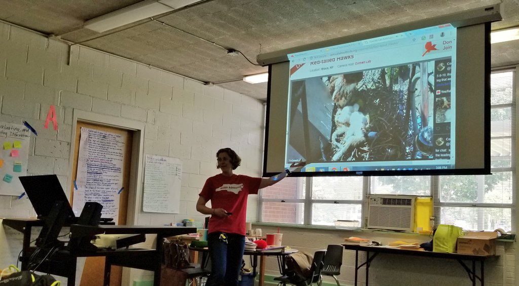KyleHamstra's tweet photo. β€ this red-tail hawk live camera. Three babies! Really appreciated @Brinchekscience sharing several learning opportunities and strategies we could do in our spaces tomorrow, with just one live shot @WCPSSElemScie Science Specialist PLT. #sci2L11 #sci5L22 #sci5L23 #wakek5science https://t.co/1KwBjiMKWh