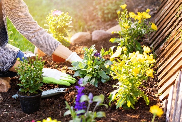 GroMorIreland's tweet photo. Whether you have a large, small or balcony garden there are plenty growing opportunities for you. GroMór are here to inspire you - take a look: https://t.co/Lc86hQE8tz #gromor2019 #gromor #getinspired https://t.co/vWnAJ7LVND