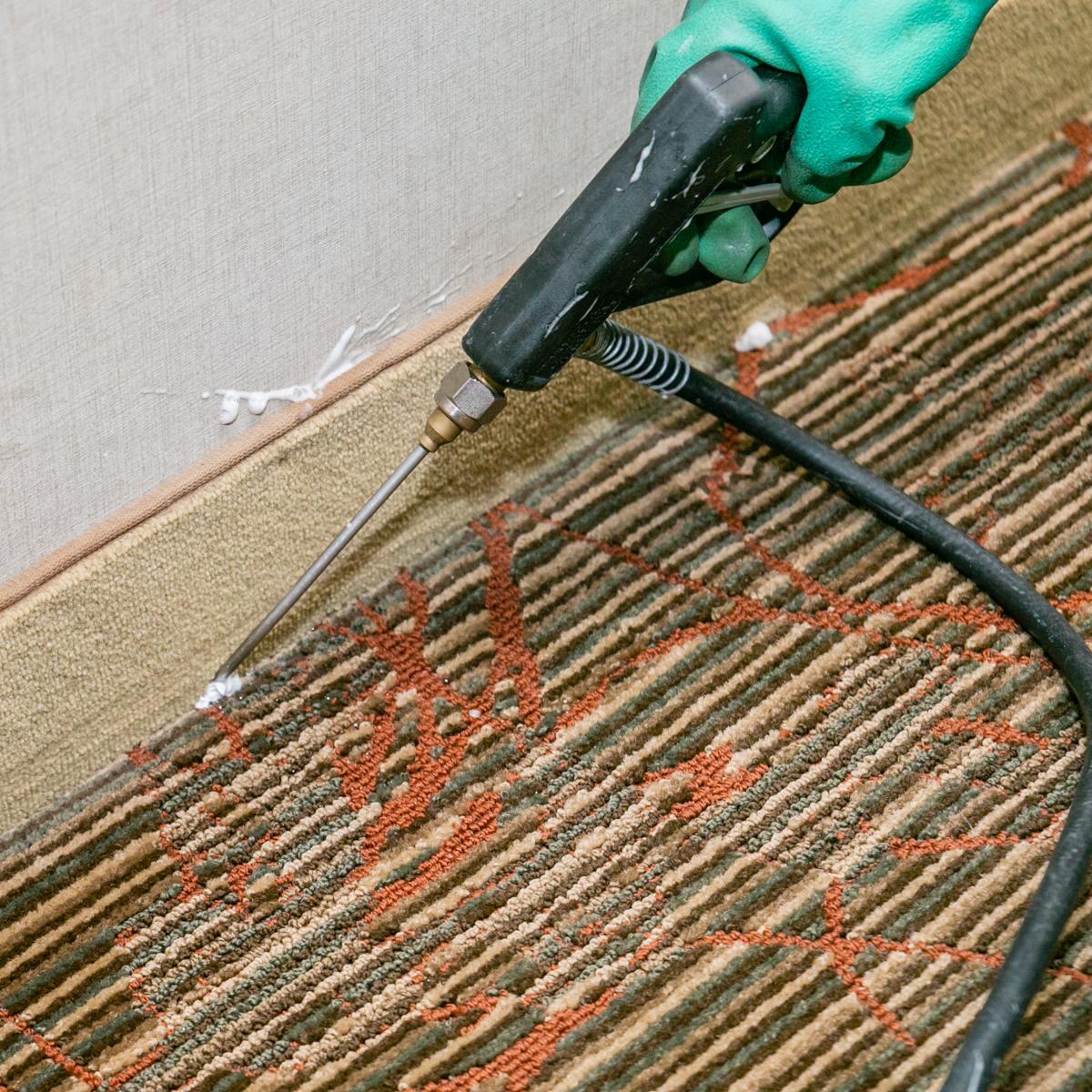 OCPest's tweet photo. Read why all of our customers are im-pest with our services. https://t.co/6ZyU54BXEK https://t.co/ua1S2Di4vt