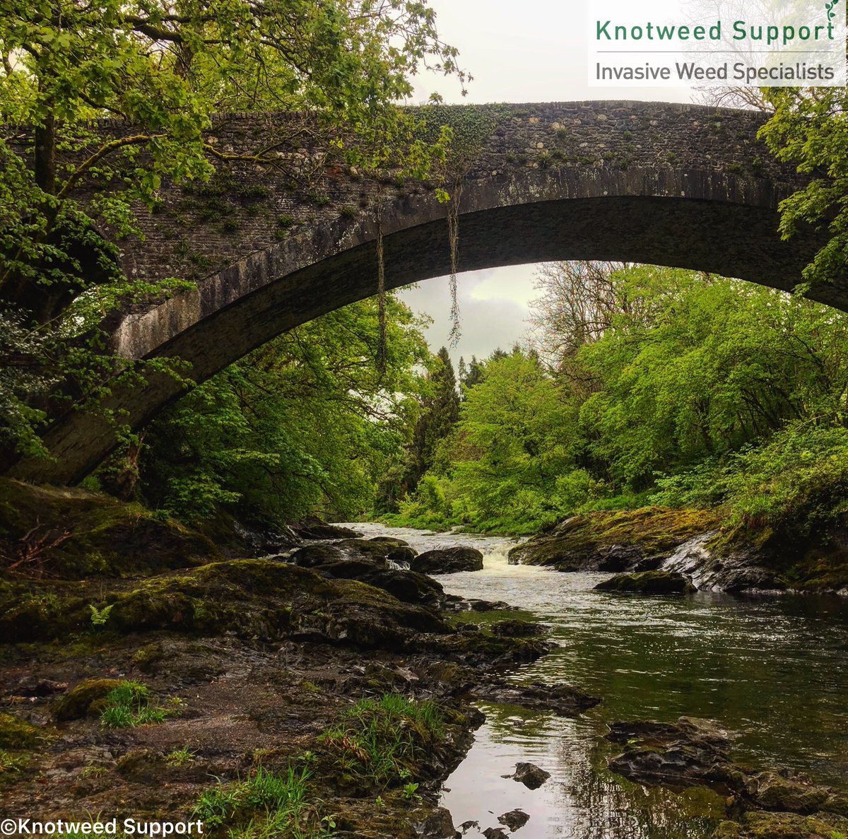 Knotweed_Phil's tweet photo. 🚐🌿📝Nice trip up the Towy valley for a survey in Llandovery earlier today🌿
 
#Knotweed #JapaneseKnotweed #Surveys  #PropertyCareAssociation #PCA #Mortgage #EstateAgents #InsuranceBackedGuarantee  
#Llanelli #Swansea #Carmarthenshire #NeathPortTalbot #Bridgend #Pembrokeshire https://t.co/B4unARNc8c