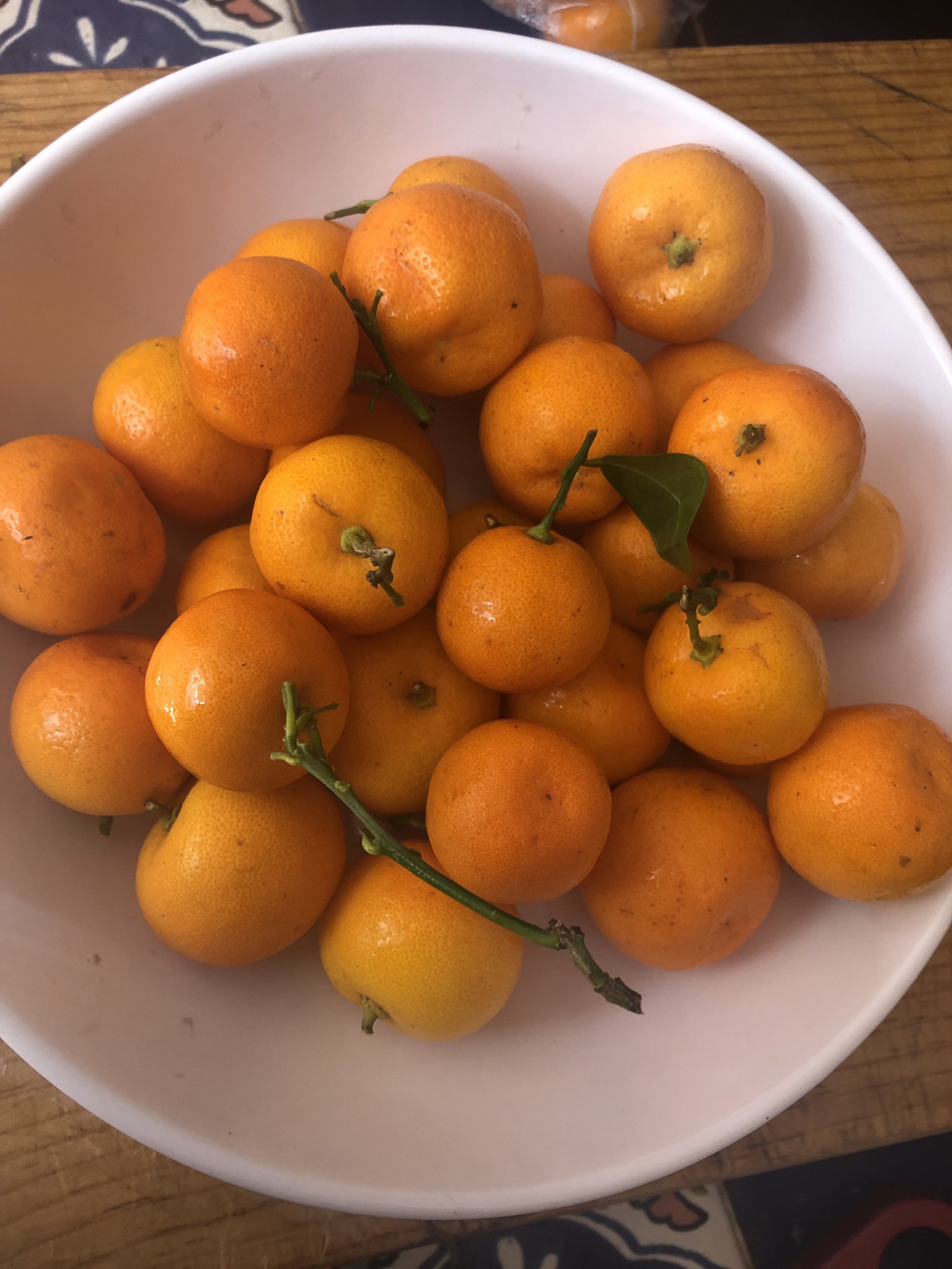 constanza lameiras on Twitter: &quot;Me traje de Sinaloa unas naranjitas chinas  (mis vecinos de Coyoacán tienen un árbol enorme y las tiran a la basura,  así es la vida... 🤷🏻‍♀️) y hoy