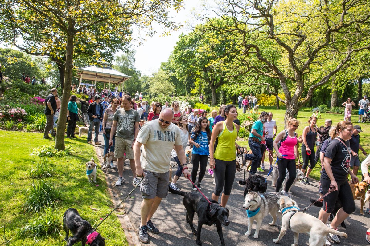 DoggyDash4Life's tweet photo. Happy #woofwoofwednesday everyone! We're really looking forward to Doggy Dash For Life in #Huddersfield on 2nd June - we've got goodie bags, stalls, raffle &amp; fun dog show all waiting for our local dog lovers &amp; we're raising money for @CRUK_KCAT &amp; @RSPCAhx - be there or be a CAT! https://t.co/aPtSA4HgOY