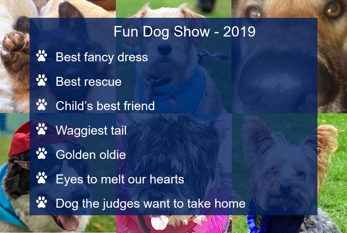 DoggyDash4Life's tweet photo. Happy #woofwoofwednesday everyone! We're really looking forward to Doggy Dash For Life in #Huddersfield on 2nd June - we've got goodie bags, stalls, raffle &amp; fun dog show all waiting for our local dog lovers &amp; we're raising money for @CRUK_KCAT &amp; @RSPCAhx - be there or be a CAT! https://t.co/aPtSA4HgOY