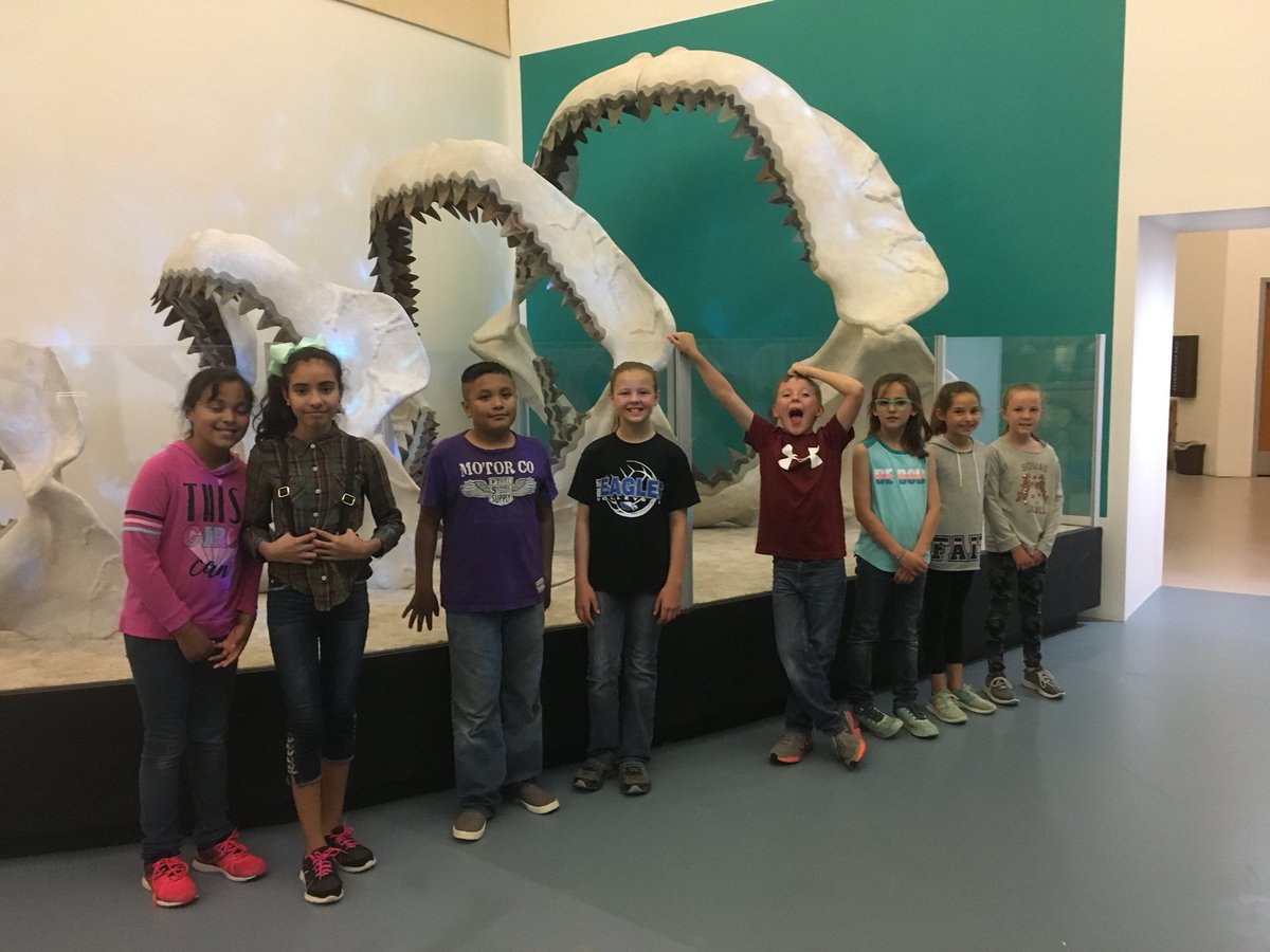 misscramer4's tweet photo. That’s a wrap for the field trip! We had a blast at the Sternberg Museum. https://t.co/x3I5BJYwPr