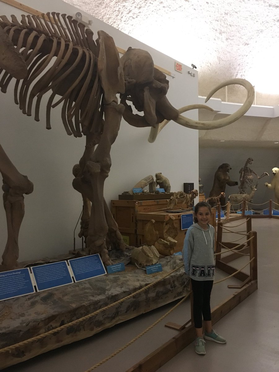 misscramer4's tweet photo. That’s a wrap for the field trip! We had a blast at the Sternberg Museum. https://t.co/x3I5BJYwPr