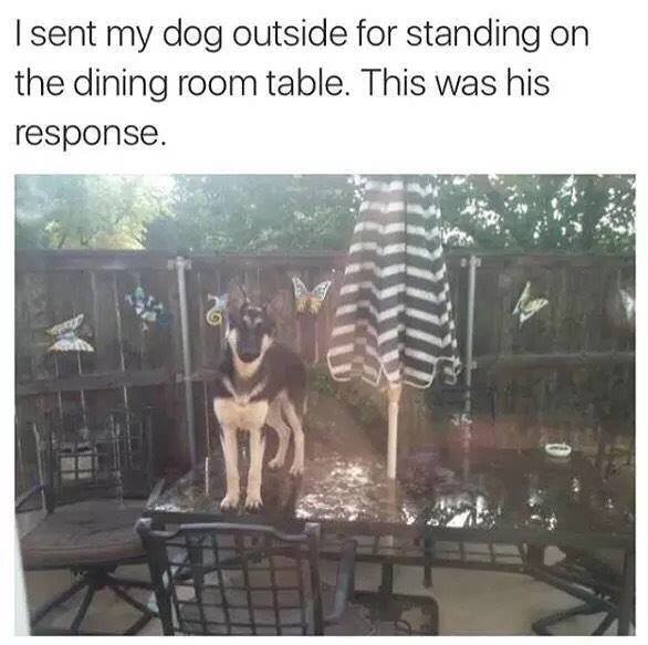 theCHIVE's tweet photo. bad boy https://t.co/b0siCLRFMc