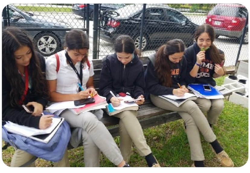 wasilewskieco's tweet photo. The Biology EOC is near. These students are using @usatestprep  and @AmoebaSisters to review and prepare for their exams while enjoying the garden. There's nothing like the smell of basil and oregano to help us awaken the senses and focus! https://t.co/XikyqfV69W