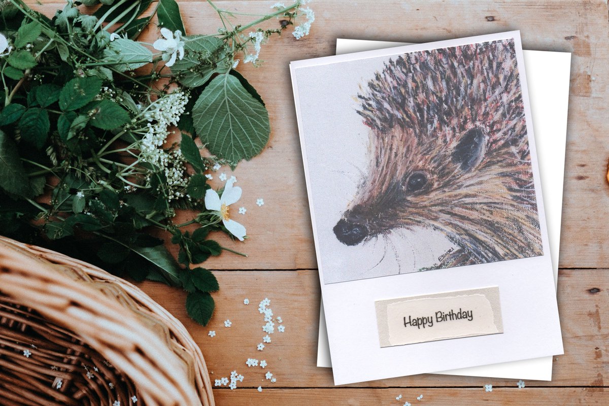 EmmaRemadeby's tweet photo. As part of #HedgehogAwarenessWeek, buy any of my #hedgehog prints, canvases or greeting cards &amp; 10% will be donated to my wonderful local #shobdon, #Herefordshire #hedgehogrescue, #helpforhogs. @BeingBoycie #handmadehour #hedgehogweek #herefordshireartist https://t.co/SJP8JeRtkd https://t.co/sMOrymbHRN