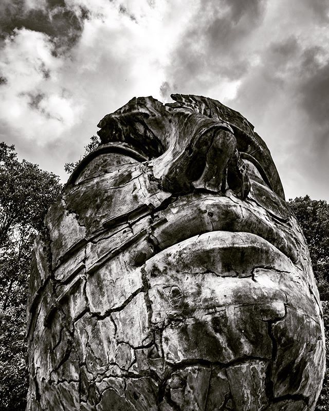 xsirio's tweet photo. ITALIA - Toscana -  Firenze
Boboli 
Fuji X-E3 XF 18mm 
#ig_toscana #fujifilm #xe3 #xstreet #xseries #xsirio #fujifilmx #xblackandwhite #fujifollowme #fujifilmxe3 #fujifilm_xseries  #street #photo #streetphoto #streetphotography #walking #fujifilmglobal #… https://t.co/jA8cT4HcXy https://t.co/HGtjdWiVtF