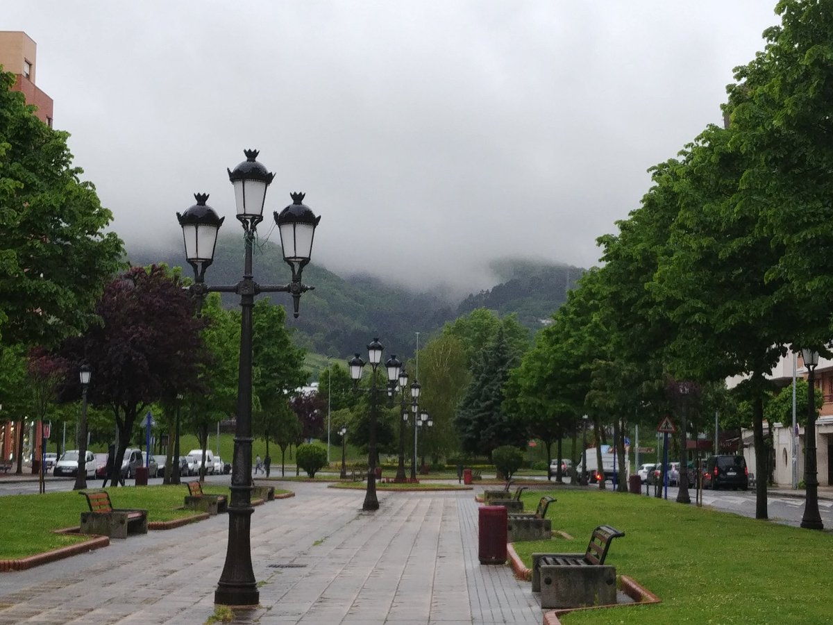 ⚒️ Manu Z 🇵🇸✊🇸🇾 tweet media