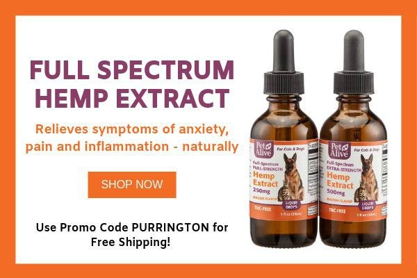 purringtonpost's tweet photo. PetAlive continues its mission of finding a better way to enhance pet health with their latest line of hemp extracts to help relieve symptoms of anxiety, pain and inflammation. Use promo code PURRINGTON for free shipping with @PetAlive Details here => https://t.co/g3wPCn25Y7 https://t.co/PBQ2aaGggZ