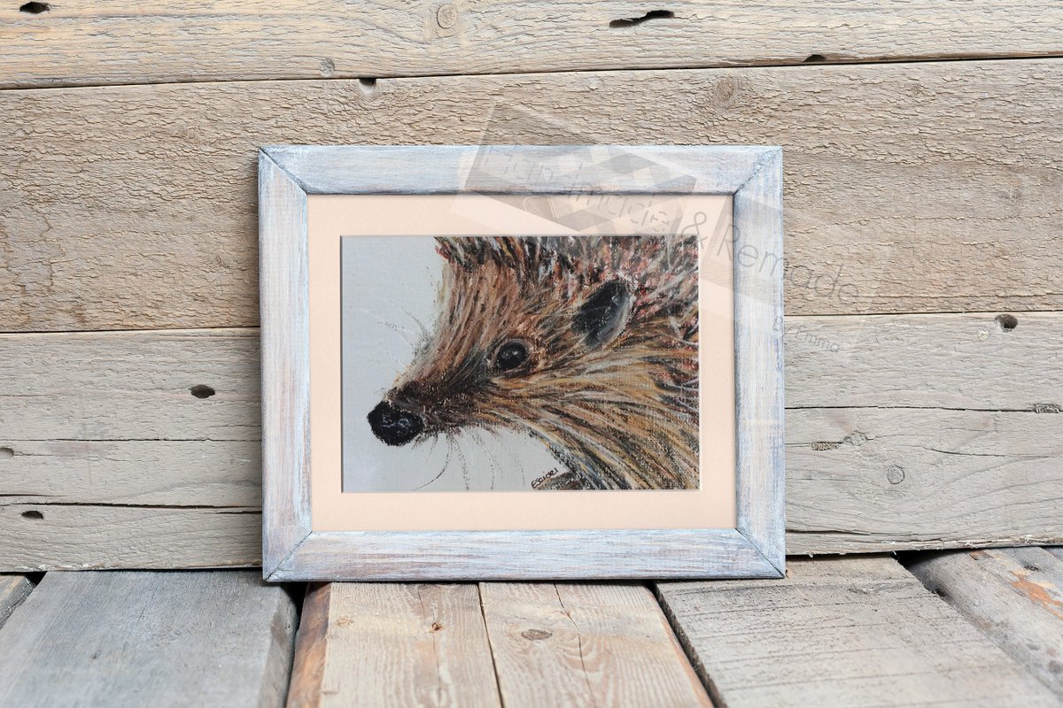 EmmaRemadeby's tweet photo. Buy any of my #hedgehog #artwork during #HedgehogAwarenesssWeek and 10% will be donated to my local, self-funded rescue &amp; rehab centre, https://t.co/QN4nQVlzyI based in #Shobdon #Herefordshire @BeingBoycie @hedgehogsociety #HandmadeHour #handmade @EtsyUK https://t.co/XeAY07mOGa https://t.co/khR9iLHsyG