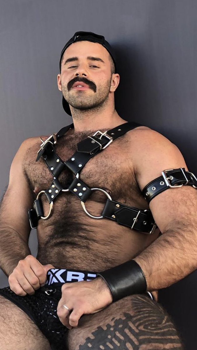 Boxer Madrid tweet media