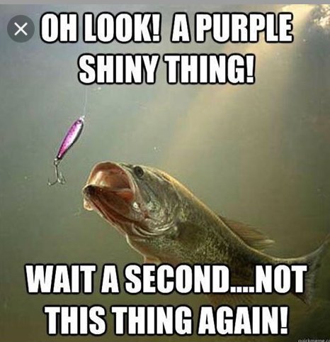 MarteaseLures's tweet photo. "A purple shiny thing"
😁😛
#thinklikeafish https://t.co/ZjWMMp1zra