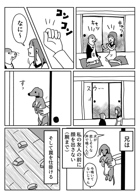 兄が忍者な話  