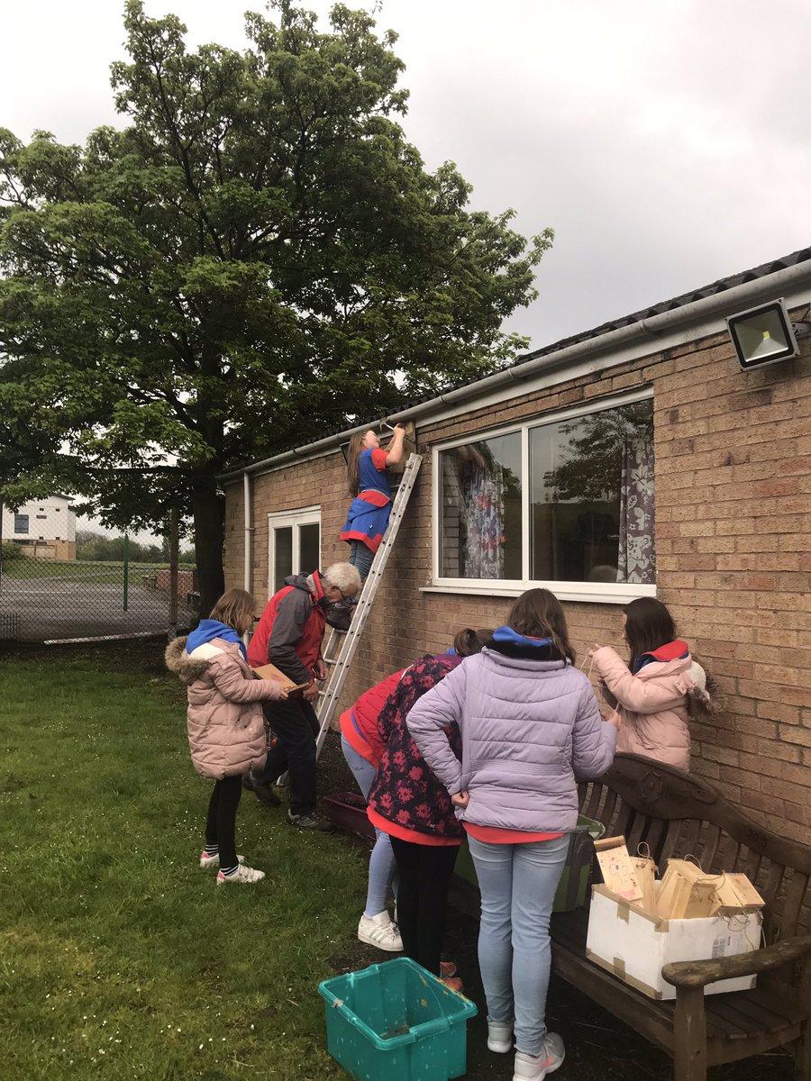 guidesarefab's tweet photo. Gnosall Guides tonight finished of their project for Best Kept Village by putting up their bird boxes bat boxes and bees boxes that they have made among with making a reflection garden wild flower patch log stack @guidesarefab @Girlguiding @StaffsGuiding https://t.co/ZM5MUk1W52