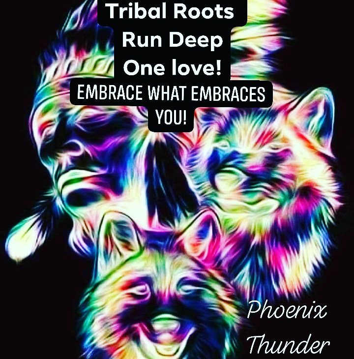 phoenixthunder7's tweet image. #crystallife #crystal #crystals #crystallove #highvibes #tribe #tribalroots #roots #vibetribe #highvibetribe #love #rockhound #rockhounds #crystalsofthecosmos #phoenixthunder #crystaldiggers #newearth #creators #consciouscreators #woke #wokeaf
