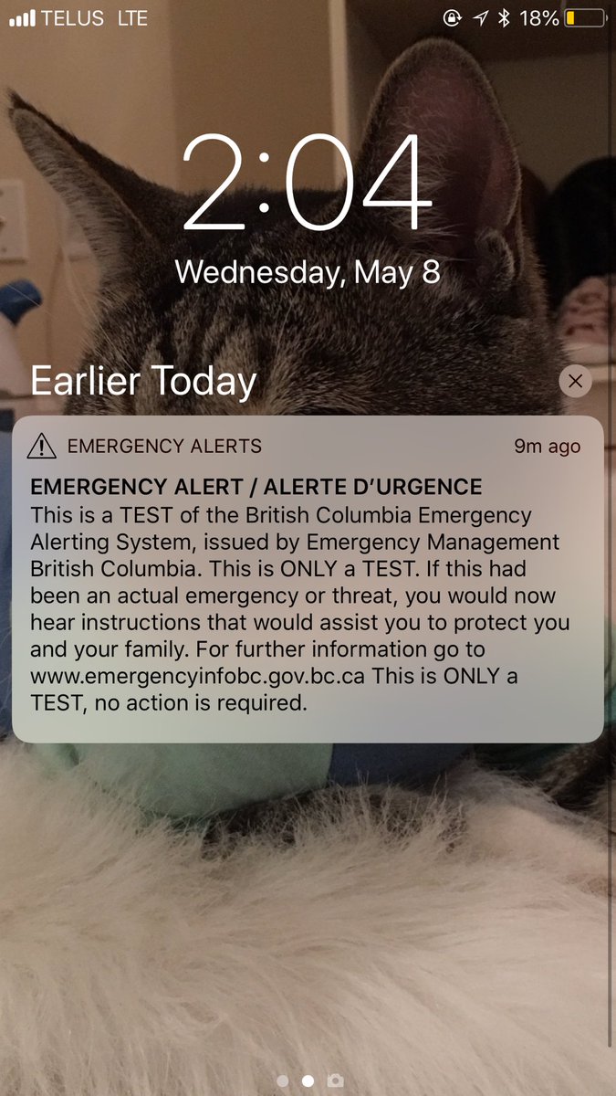 luisaalvarez95's tweet image. Looks like I’ll be safe! #EmergencyAlertTest