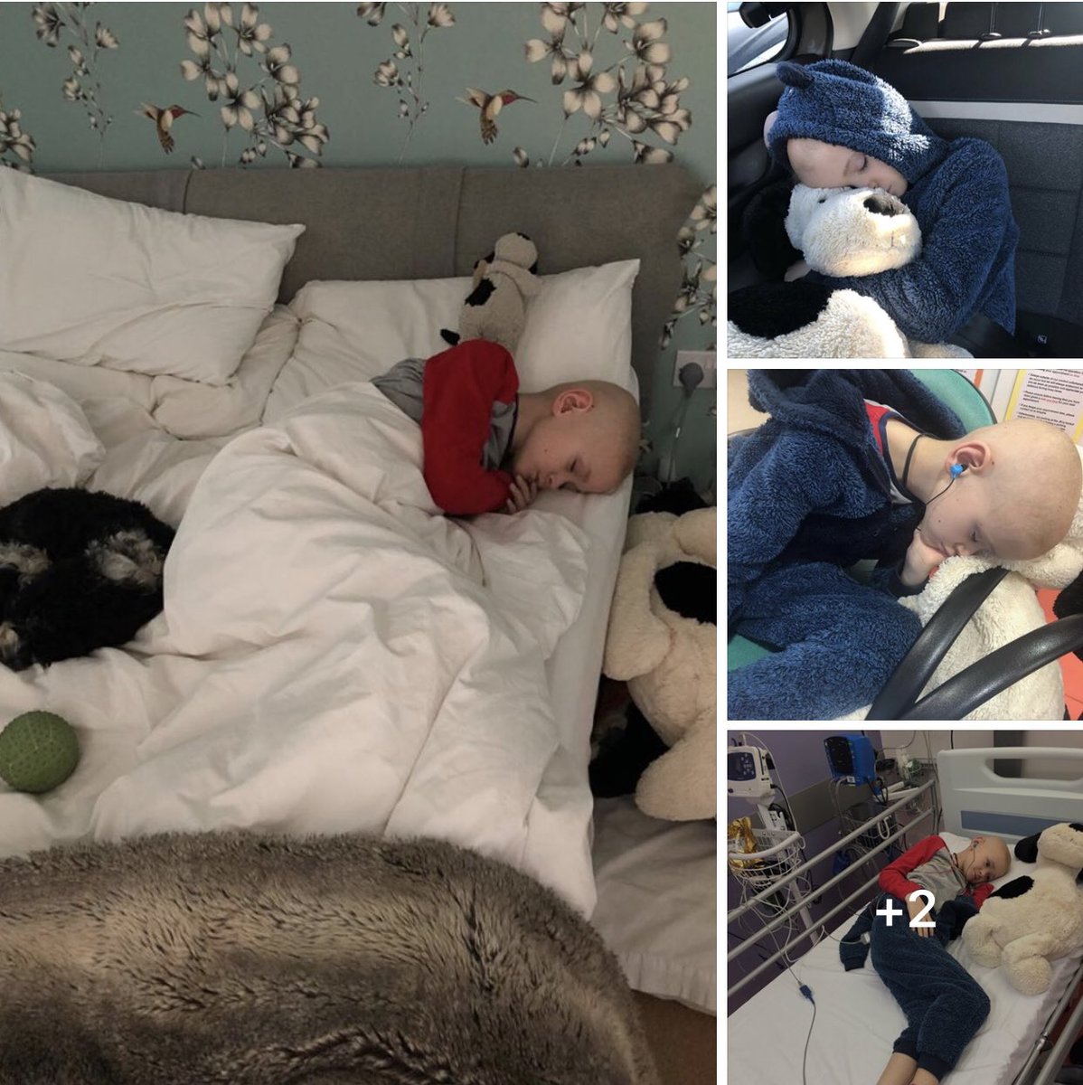 #ninasupdate 
There is always something! 
Since Harry got home from hospital two weeks ago, it has been a slow process of building him up again, getting him to eat more and more each day, and him sleeping a lot, but he has had some fun too with family and friends.