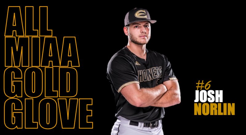 Congratulations to shortstop, Josh Norlin, on his All-MIAA Gold Glove selection!