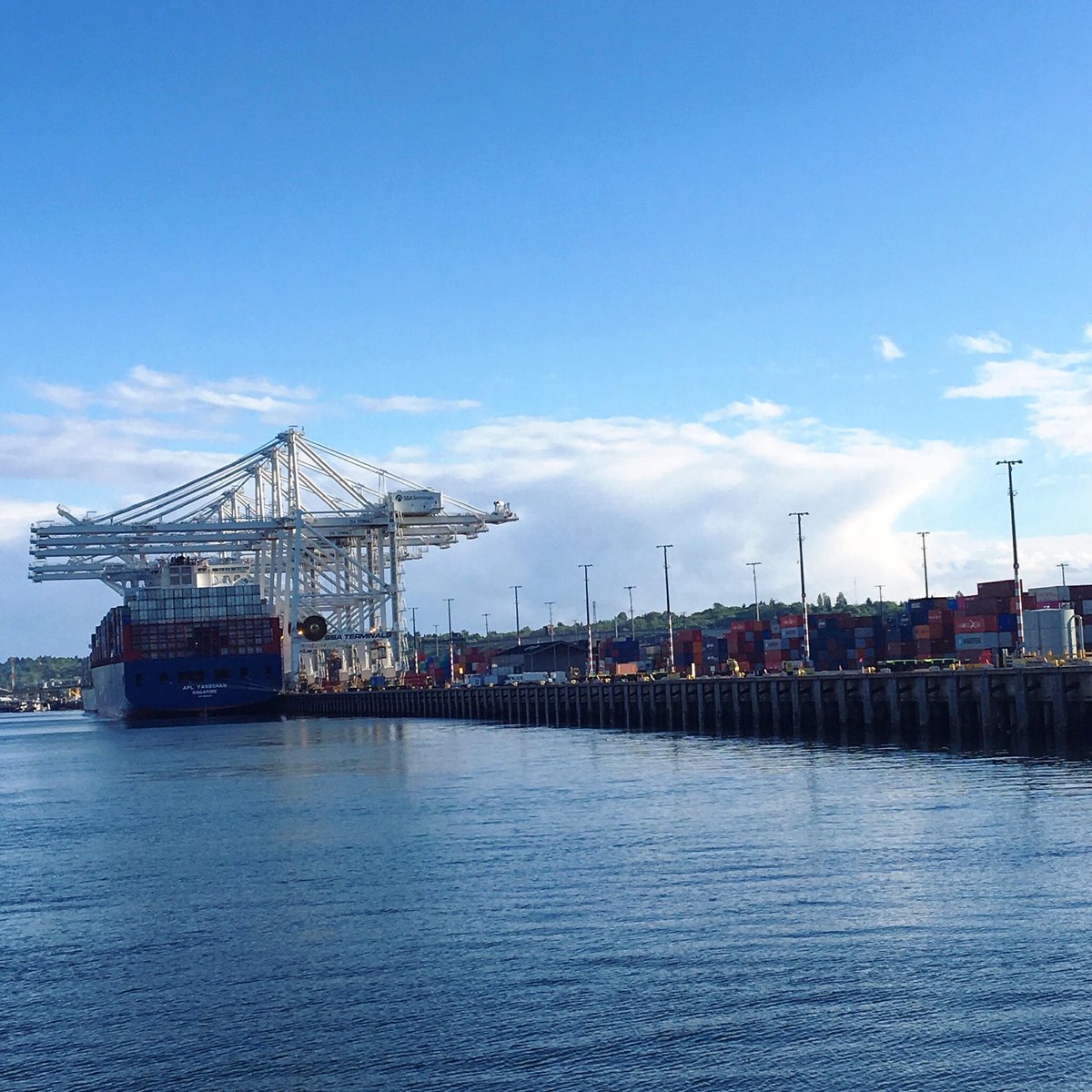 PORT OF SEATTLE CONTAINERS. Two #ATTSLogistics team members recently traveled to Seattle, WA, and had a great time seeing container shipping in action. This place is a shipping professional's dream.

#ShippingContainers #PortofSeattle #ShippingLife #SeattleWA #SEATAC