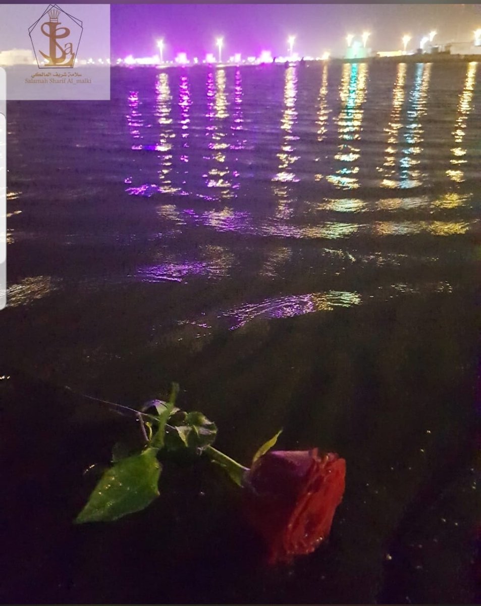 نشاط آل سلمى (@alsalmaactivity) on Twitter photo 