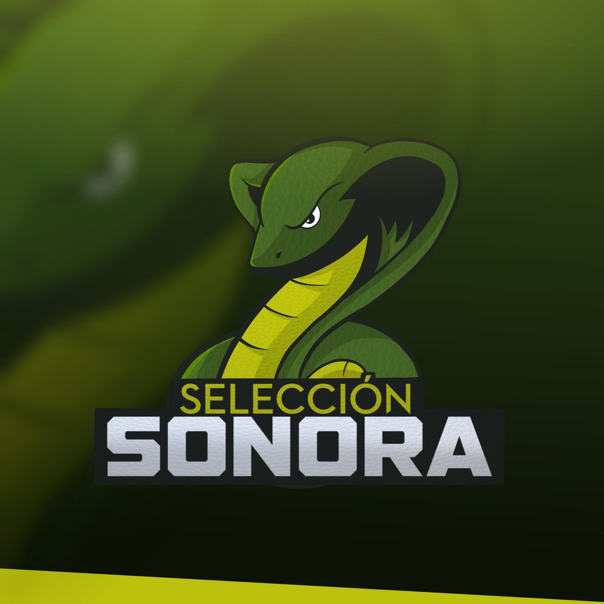 Se harán pruebas este fin de semana para la siguiente @CEM_GG, este viernes se dirá el día y hora que se harán las pruebas, para inscribirse y mas información hablarme a <a href="/jorgejarita/">Jorge23</a> 🐍🐍